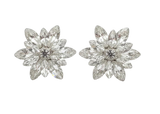 Pair of silver flower-shaped earrings on a white background