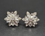 a close up view of Nova Cluster Earrings, these earrings sparkle with Rhinestones