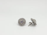 Stella Celestial Sparkle Starburst Earrings - Titanium Studs